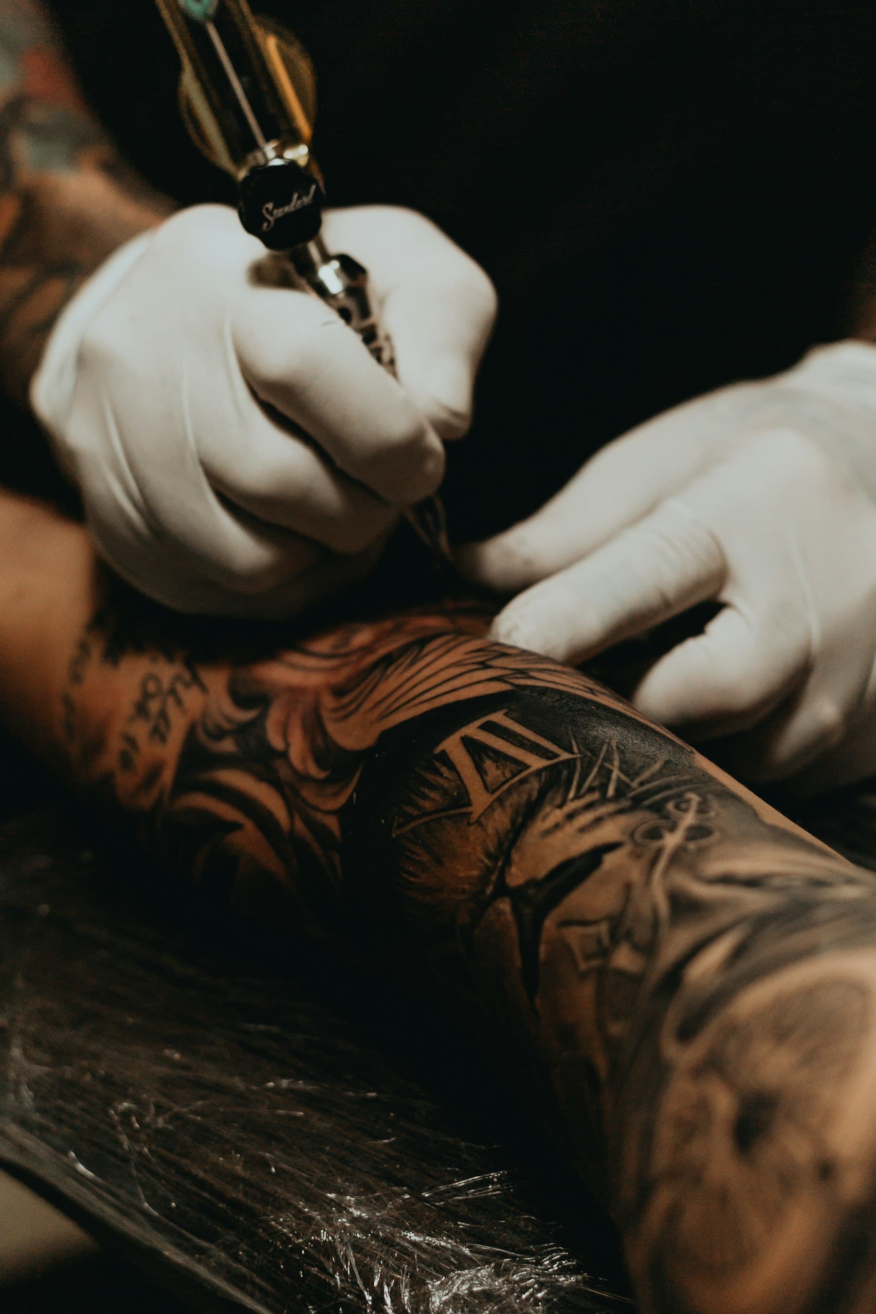 Fine Line tattoo portfolio piece
